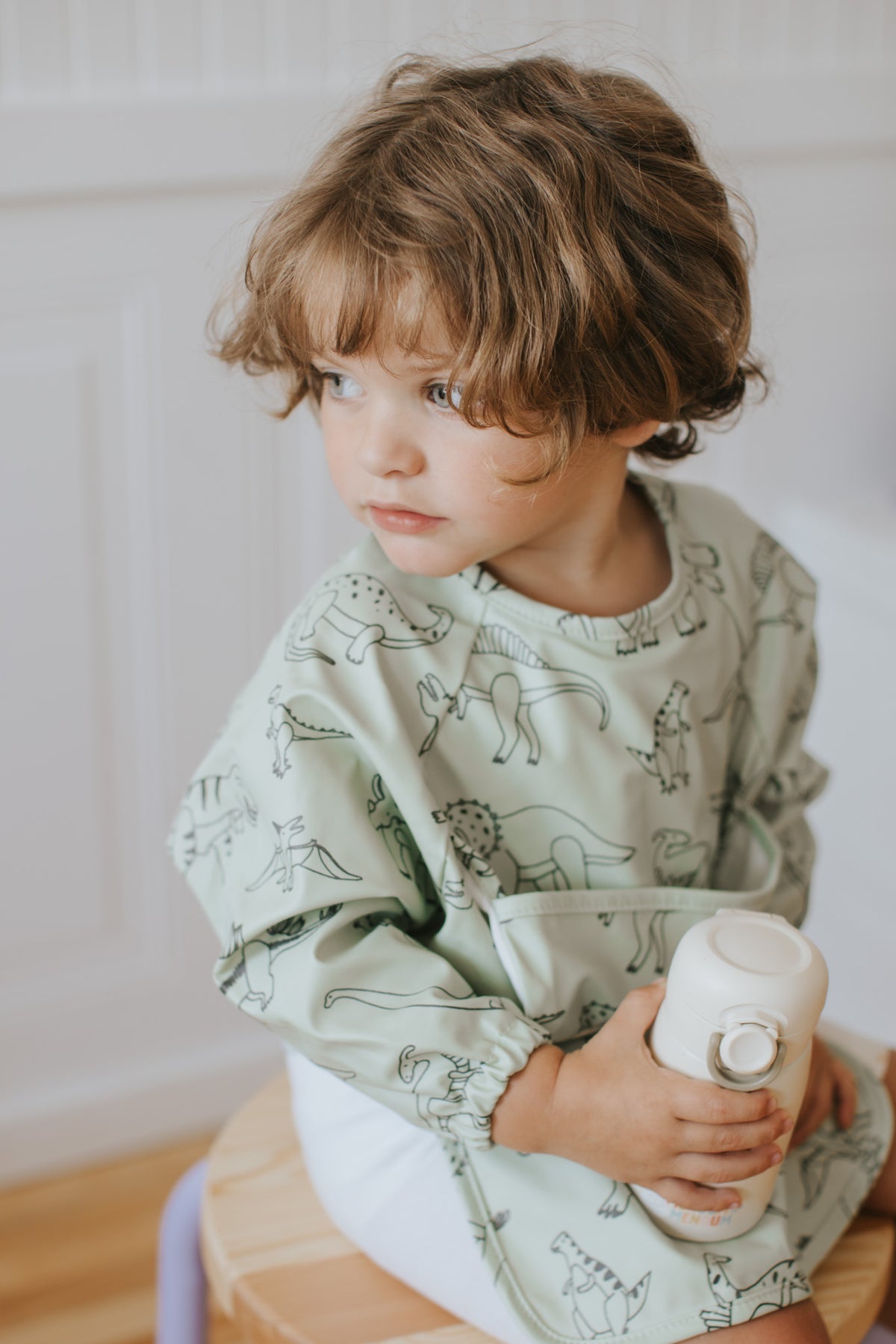 Long Sleeve Bib - Dinos